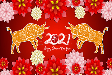 TARJETA CNY